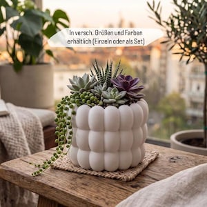 Könnte beinhalten: Ein weißer Übertopf mit Blasenstruktur, bepflanzt mit verschiedenen Sukkulenten, darunter eine hängende Erbsenpflanze, eine dunkelviolette Echeveria und eine gestreifte Haworthia. Der Text auf dem Bild lautet: In versch. Größen und Farben erhältlich (Einzeln oder als Set).