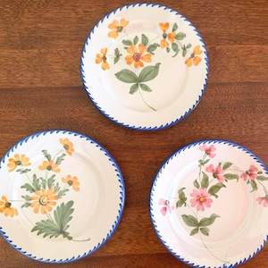 May include: Three white ceramic plates with hand-painted floral designs. Each plate features a blue scalloped rim. The flowers are orange, pink, and green. The plates are arranged on a dark wood surface.