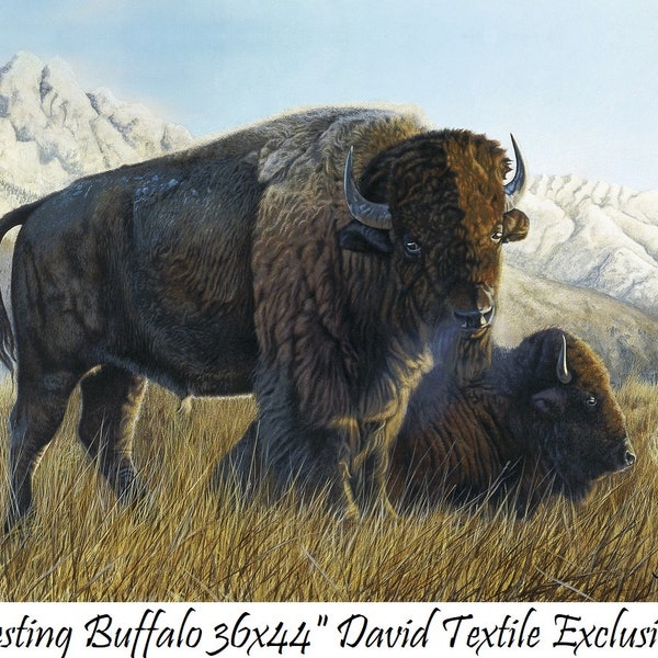 Bison Quilt Panels Etsy