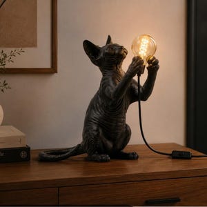 Könnte beinhalten: Eine Tischleuchte in Form einer schwarzen Sphynx-Katze mit texturiertem, haarlosem Körper in sitzender Position. Die Katze hält eine leuchtende, runde Edison-Glühbirne mit sichtbarem Glühfaden zwischen ihren Vorderpfoten, verbunden durch ein schwarzes Kabel.