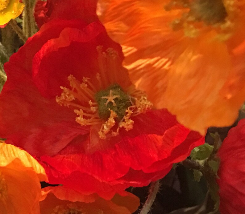 bridal boutique flowers|silk flower|centerpiece|decktop|gift Poppy Boutique