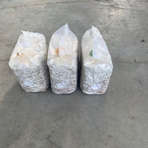 Puede incluir: Tres bolsas rectangulares llenas de un material de color claro, posiblemente sustrato para el cultivo de hongos. Las bolsas están selladas con plástico transparente y están dispuestas una al lado de la otra sobre una superficie de hormigón. Las bolsas tienen un aspecto rugoso y texturizado.