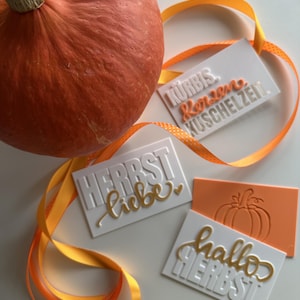 May include: A large orange pumpkin next to four rectangular white and orange plaques featuring embossed German text including KÜRBIS, KERZEN, KUSCHELZEIT, HERBST, LIEBE, HALLO, and a pumpkin graphic, all accented by a thin orange ribbon.