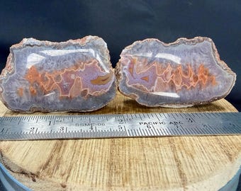Alimajo Malawi Agate Specimen | Polished Purple Orange Candy Collector Piece