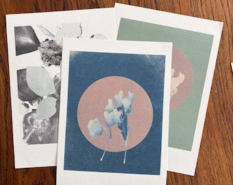 Mini Cyanotype Prints, Botanical Art from Wales, Woodlands 001, Small Blue Print, Foraged Botanical Wall Art A6