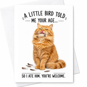 May include: A white greeting card featuring a fluffy orange cat licking its nose with small feathers scattered around its paws. The text reads A LITTLE BIRD TOLD ME YOUR AGE and SO I ATE HIM. YOU'RE WELCOME. The card is shown with a white envelope.