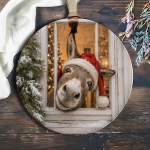 Könnte beinhalten: Ein runder Keramikschmuck mit einem braunen Esel, der eine rot-weiße Weihnachtsmütze trägt und durch einen weißen Fensterrahmen schaut. Die Szene zeigt einen schneebedeckten Tannenbaum und warmes weihnachtliches Licht im Hintergrund.