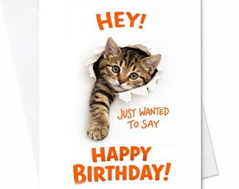 Funny Cat Birthday Card Hey Just Wanted To Say Happy Birthday Cute Kitten Card Animal Lover Birthday Card Gift For Cat Lovers C858