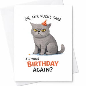 May include: A greeting card with a grumpy gray cat wearing a party hat. The card reads "Oh, for fuck's sake. It's your birthday again?" in black and orange text. The cat has yellow eyes and a frown.