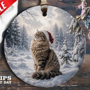 May include: A round ceramic ornament featuring a brown tabby cat wearing a red and white Santa hat. The cat is sitting in a snowy forest landscape with evergreen trees under a cloudy sky. A gold ribbon is attached to the top for hanging.