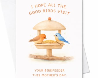 Funny Mothers Day Card Birdfeeder Joke Card Bird Lover Gift I Hope Birds Visit Your Birdfeeder This Mothers Day Cute Bird Card C570