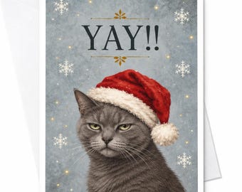 Hoera!! Grappige kerstkaart met een kat en een kerstmuts. Feestelijke wenskaart voor kattenliefhebbers. Schattige, feestelijke dierenkaart C7656