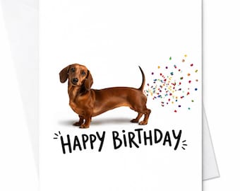 Grappige teckel verjaardagskaart gelukkige verjaardag hond kaart worst hond humor kaart schattig huisdier minnaar cadeau voor hem haar worstje hond grap C1079
