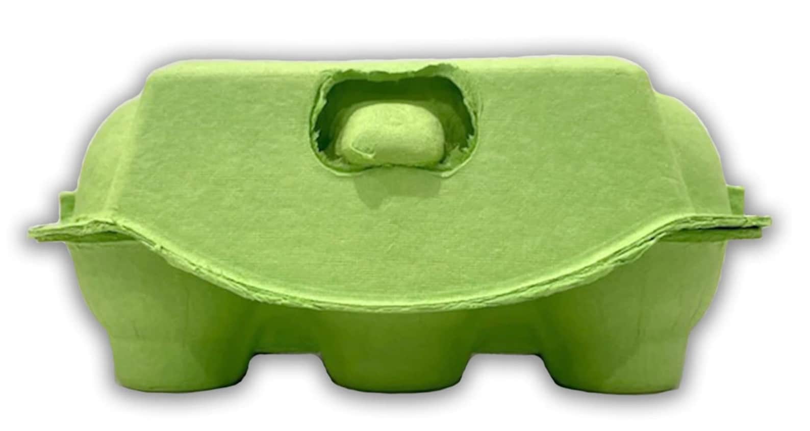 Colored Egg Cartons 6 Egg Cartons 1/2 Dozen Egg Carton Easter Eggs Spring Packaging Etsy