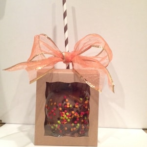 Candy Apple Box ~ Caramel Apple Box ~ Chocolate Apple Box ~ Orament Window View Display Box~ White Box ~ Brown Box