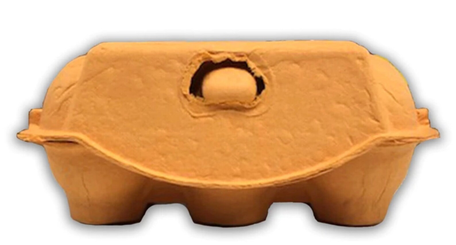 Colored Egg Cartons 6 Egg Cartons 1/2 Dozen Egg Carton Easter Eggs Spring Packaging Etsy