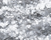 Il_170x135
