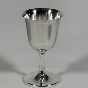 May include: A polished silver-colored metal goblet featuring a smooth, reflective surface, a wide flared rim, a slender stem, and a circular base. The vessel has a clean, minimalist silhouette with no decorative engravings or patterns on its exterior.