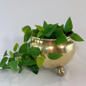 May include: A polished brass planter with a rounded body and three small feet, containing a trailing green artificial plant with heart-shaped leaves that spill over the sides of the metallic container.