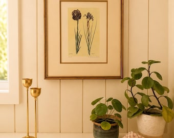 Vintage Framed Lithograph Botanical – Iris Susiana & Iris Xyphium | Jacopo Ligozzi | Uffizi Gallery Florence | Vintage Botanical Wall Art
