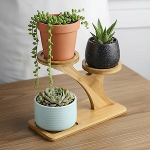 Puede incluir: Un soporte de bambú de tres niveles con tres plantas suculentas en macetas. Las macetas son de terracota, negras moteadas y azul claro. Las plantas incluyen una suculenta colgante, un aloe espinoso y una suculenta en roseta.