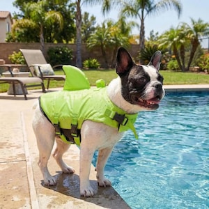 Puede incluir: Un bulldog francés con un chaleco salvavidas verde brillante con aleta de tiburón junto a una piscina. El chaleco tiene correas y hebillas negras. El perro tiene pelaje blanco y negro y mira hacia la derecha.