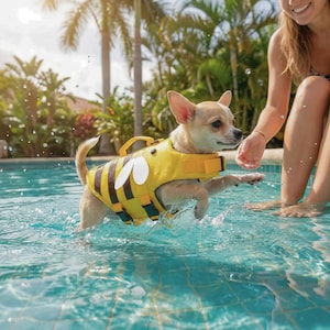 Puede incluir: Un perro pequeño de color canela lleva un chaleco salvavidas amarillo y negro con temática de abeja en una piscina. El perro está en el agua, con la pata delantera extendida. El chaleco tiene detalles de alas blancas. Hay palmeras en el fondo.