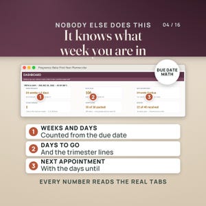 May include: A digital pregnancy planner dashboard interface titled Pregnancy-Baby-First-Year-Planner.xlsx. It displays data including weeks pregnant, days to go, and next appointment. Text includes NOBODY ELSE DOES THIS, It knows what week you are in, and DUE DATE MATH.