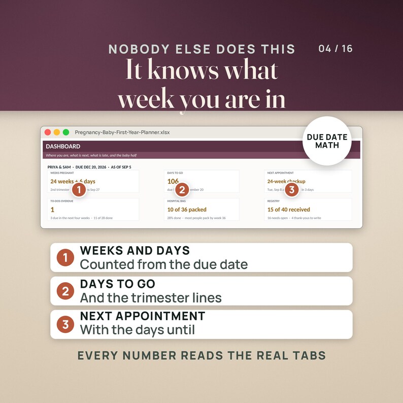 May include: A digital pregnancy planner dashboard interface titled Pregnancy-Baby-First-Year-Planner.xlsx. It displays data including weeks pregnant, days to go, and next appointment. Text includes NOBODY ELSE DOES THIS, It knows what week you are in, and DUE DATE MATH.