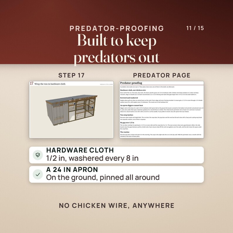 Predator-proofing. Step 17 of the Medium plans shows the run wrapped in hardware cloth, and the predator-proofing page explains hardware cloth instead of chicken wire, screws and washers, an apron, two-step latches and no gap over 1/2 in. Rows read 1/2 in hardware cloth washered every 8 in, and a 24 in apron on the ground, pinned all around.