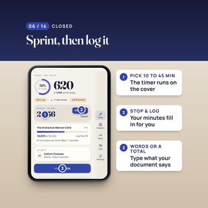 Novel Planner Web App, Writer's Word Count Tracker, Two-Screen Layout, Compatible with iPhone Duo image 6