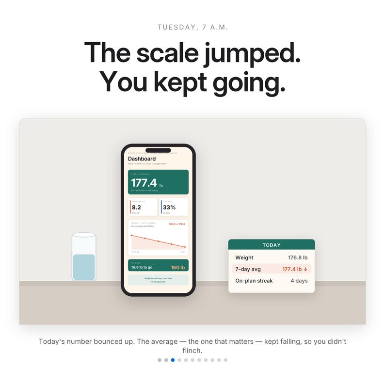 Weight Loss Tracker Spreadsheet | Body Transformation, Calorie & Macro + Measurements Log for Excel and Google Sheets image 3