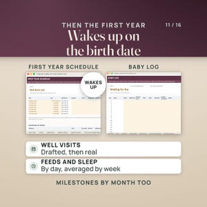 May include: A digital planner interface titled Then The First Year featuring a First Year Schedule and Baby Log. The layout includes columns for well visits, feeding, and sleep tracking, with text headers for milestones and daily logs in a clean, organized format.