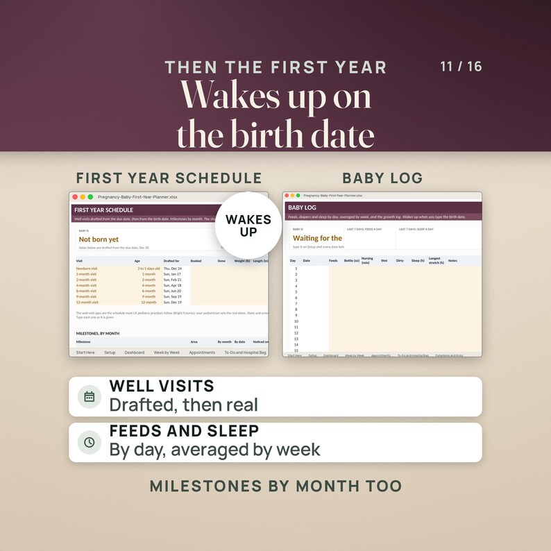 May include: A digital planner interface titled Then The First Year featuring a First Year Schedule and Baby Log. The layout includes columns for well visits, feeding, and sleep tracking, with text headers for milestones and daily logs in a clean, organized format.