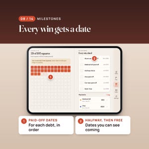Debt Payoff Planner Web App, Snowball and Avalanche Tracker, Two-Screen Layout, Compatible with iPhone Duo image 8
