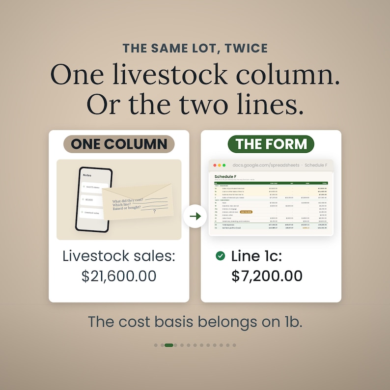 May include: An educational graphic titled THE SAME LOT, TWICE One livestock column. Or the two lines. It compares ONE COLUMN showing a phone and envelope with $21,600.00 to THE FORM showing a spreadsheet with Line 1c: $7,200.00 and text The cost basis belongs on 1b.