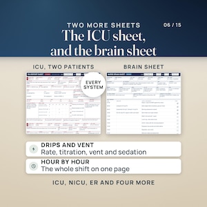 May include: Two medical report sheets for ICU and brain monitoring. The ICU sheet tracks two patients with system details. The brain sheet organises hourly tasks. Text includes 'TWO MORE SHEETS', 'ICU, TWO PATIENTS', 'BRAIN SHEET', and 'EVERY SYSTEM'.