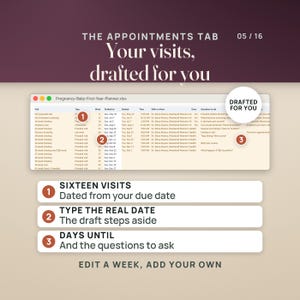 May include: A digital spreadsheet titled Pregnancy-Baby-First-Year-Planner.xlsx showing an appointments tab. It features sixteen visits dated from a due date, columns for visit type, week, dates, times, locations, and a section for questions to ask.
