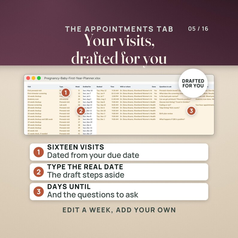 May include: A digital spreadsheet titled Pregnancy-Baby-First-Year-Planner.xlsx showing an appointments tab. It features sixteen visits dated from a due date, columns for visit type, week, dates, times, locations, and a section for questions to ask.