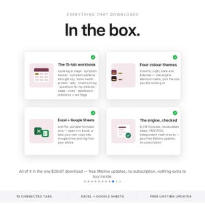 May include: A digital product information graphic titled In the box. It features four white cards with icons and text detailing a 15-tab workbook, four color themes, Excel and Google Sheets compatibility, and a checked engine with 8,216 formulas.