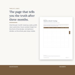 The Month on Month Tracking page, a twelve line table with columns for month, revenue, costs, profit, new customers and hours worked. Described as the page that tells you the truth after three months.