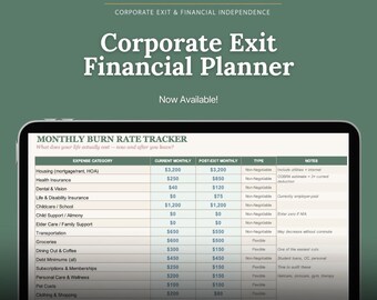 Corporate Exit Financial Planner: 9-Tab Strategy Workbook for High-Earners Leaving Corporate.
