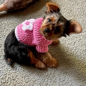 May include: A small, brown and black dog wearing a pink crocheted sweater with a white flower on the front.