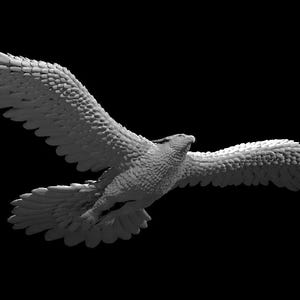 May include: A monochromatic gray sculpture of an eagle in flight with wings fully extended. The figure displays detailed feather textures across the wings, body, and tail, capturing the bird in a dynamic soaring pose against a solid black background.