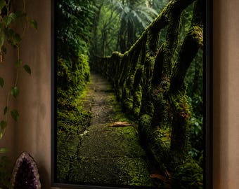 Lienzo decorativo con estampado de sendero en la selva tropical / Arte mural de la jungla de Costa Rica, decoración botánica