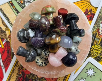 Mini Crystal Mushrooms