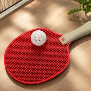 May include: A red ping pong paddle with a honeycomb design and a beige handle. A white ping pong ball rests on the paddle. The paddle has a red "S" logo on the handle. The items are on a wooden surface.