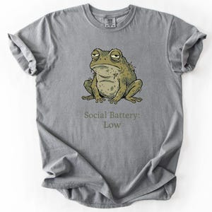 Op de afbeelding: Grijs t-shirt met een cartoon illustratie van een chagrijnige kikker. De kikker is groen en bruin met een getextureerd uiterlijk. Onder de kikker staat de tekst "Social Battery: Low."