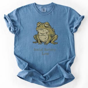 Op de afbeelding: Blauw T-shirt met een cartoon illustratie van een chagrijnige kikker. De kikker is in groen- en bruintinten. Onder de kikker staat de tekst "Social Battery: Low".