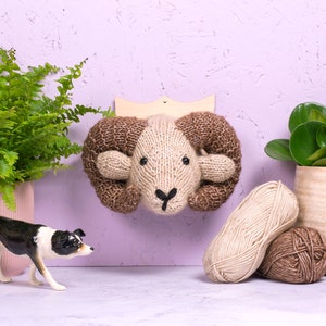 May include: A brown and beige knitted ram's head wall hanging with a wooden backing. The ram's head is mounted on a light purple wall with a green fern plant in a pink pot and a potted plant with green leaves in a beige pot to the right. Two balls of yarn are in the foreground, one brown and one beige.